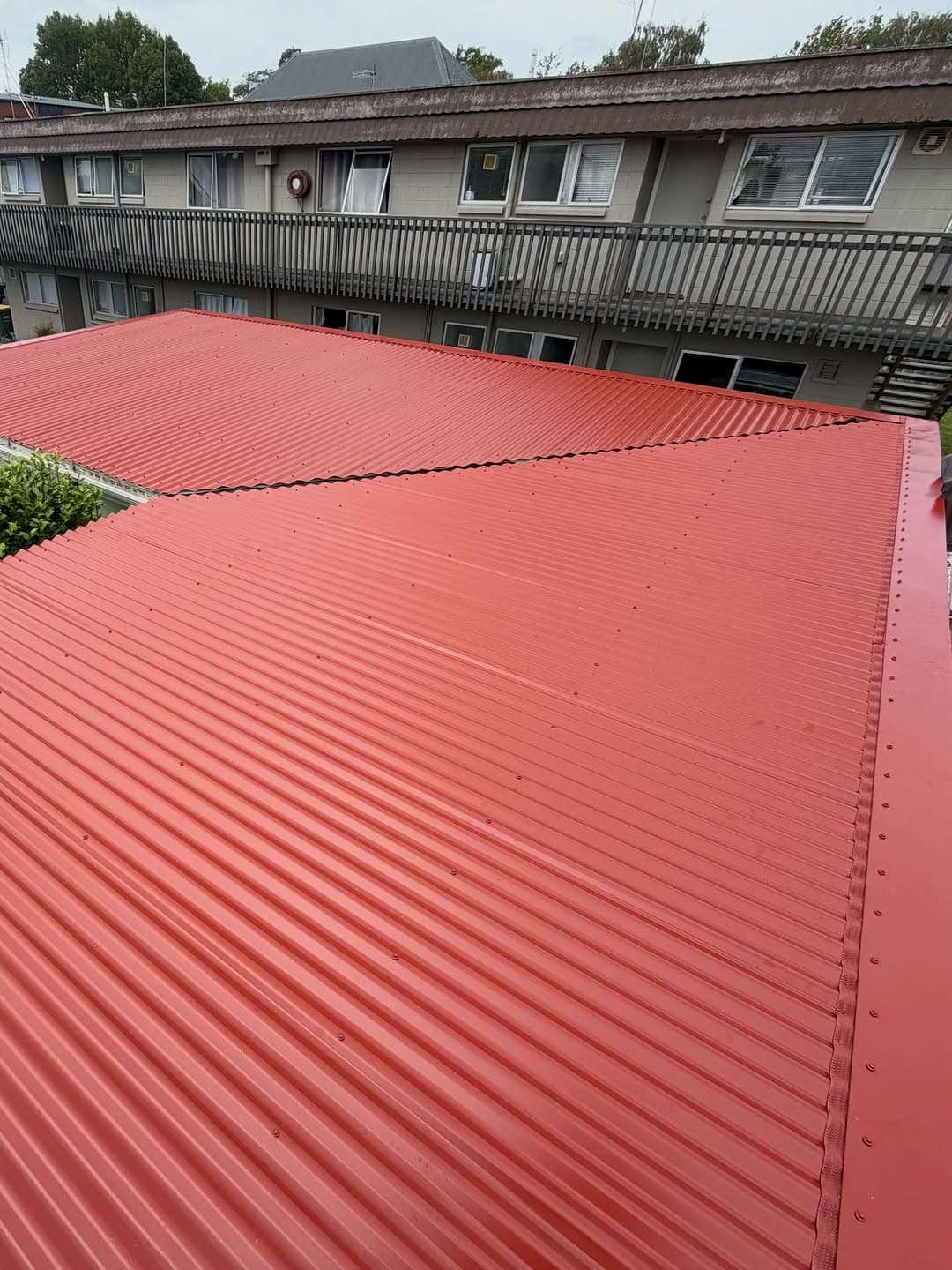 Leaking Hamilton roof, sorted in two days — image 2