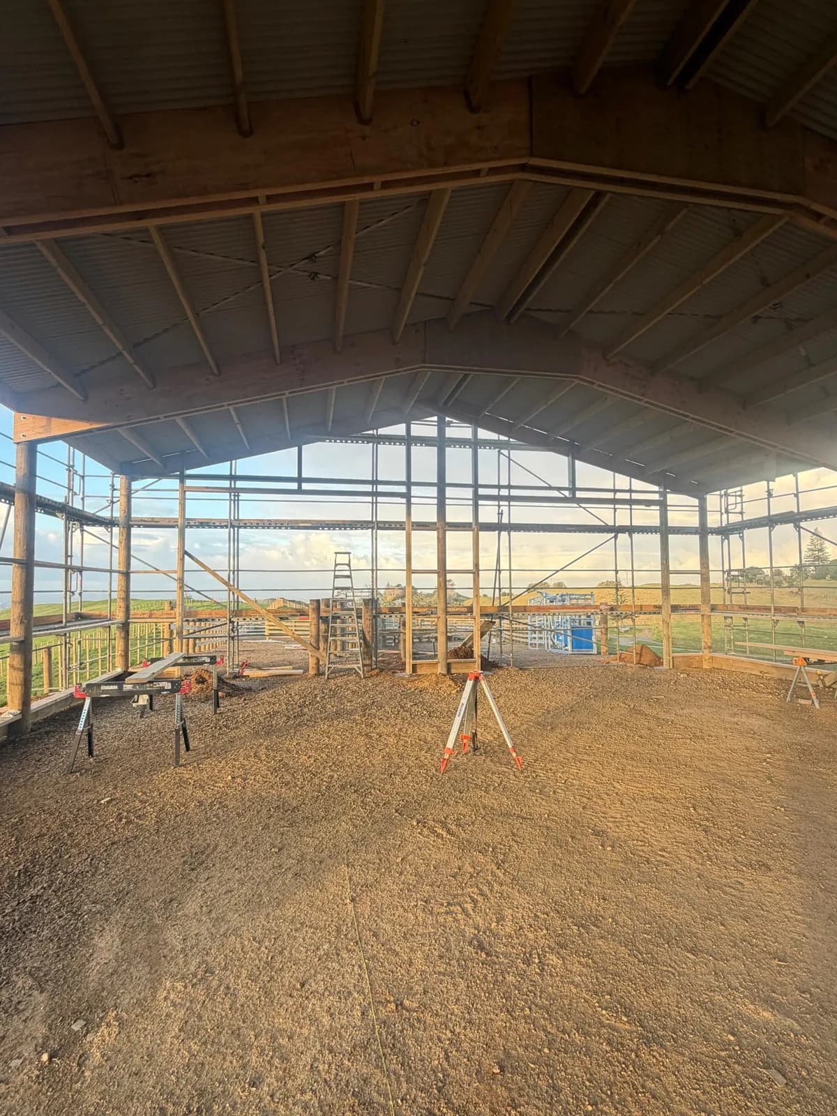 20 × 13 m pole shed & cattle yards, Waiuku — image 5