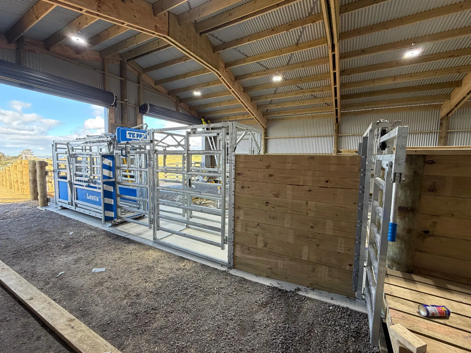 Inside a new pole shed in Whiriwhiri, Waiuku: galvanised yard gates and a cattle crush beside timber yard walls